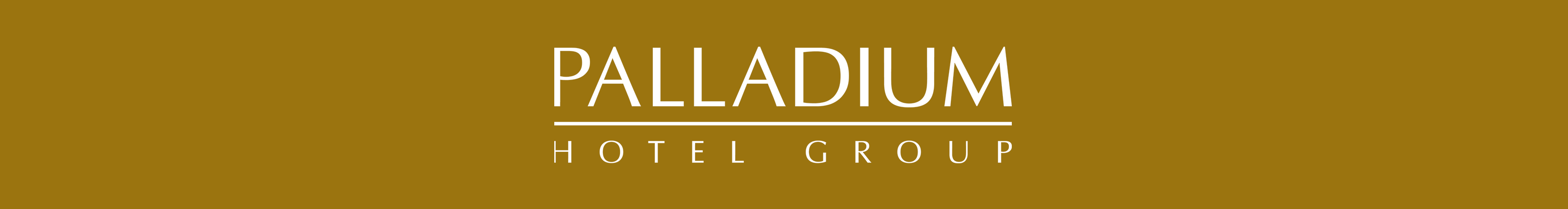 Palladium Hotel Group