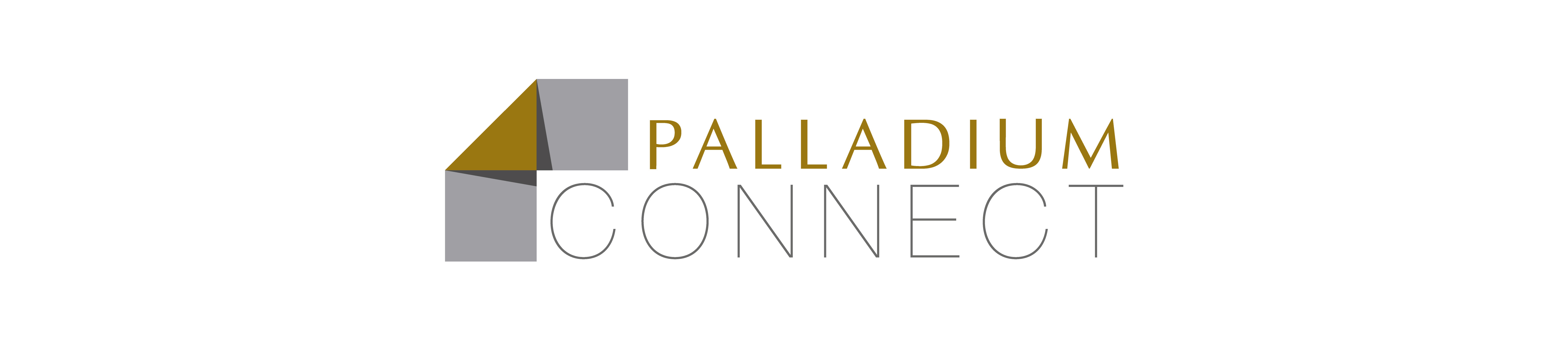 Palladium Connect